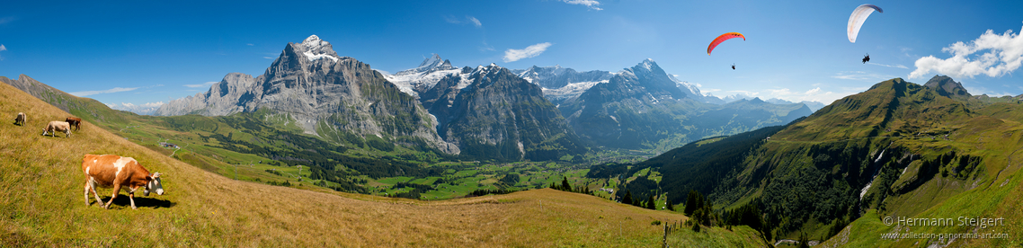 Blick vom First auf Grindelwald