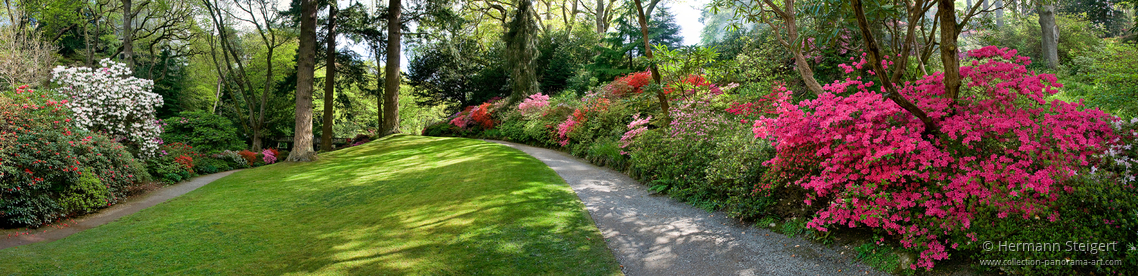 Bodnant Garden 1