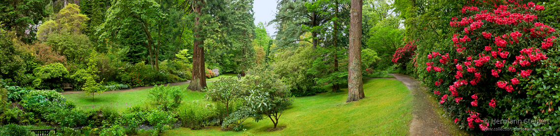 Bodnant Garden 4