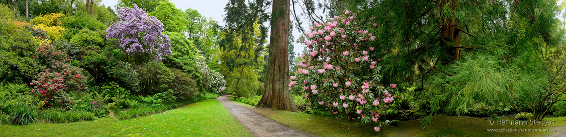 Bodnant Garden 5