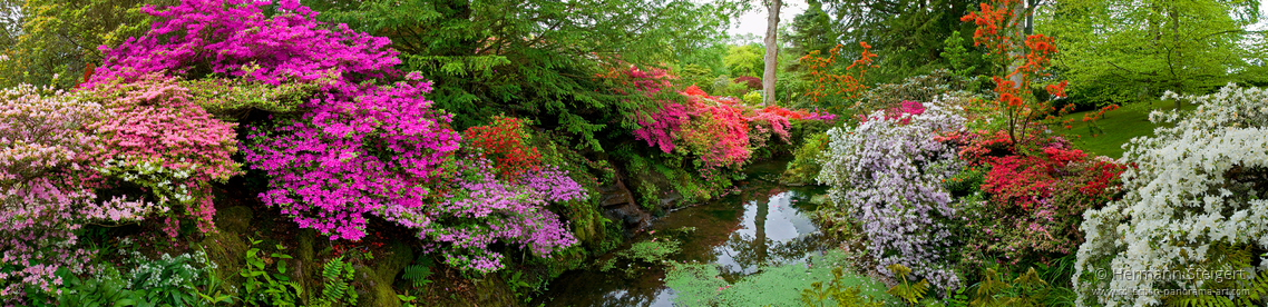 Bodnant Garden 6