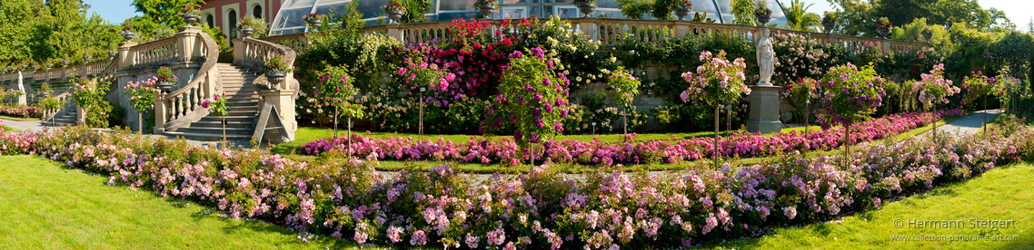 Italienischer Rosengarten auf der Insel Mainau