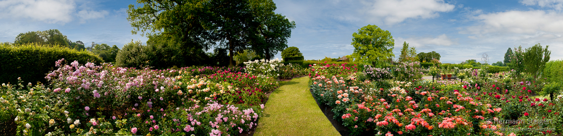 RHS Garden,Wisley 11