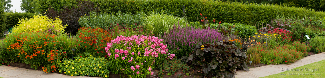 RHS Garden,Wisley 18