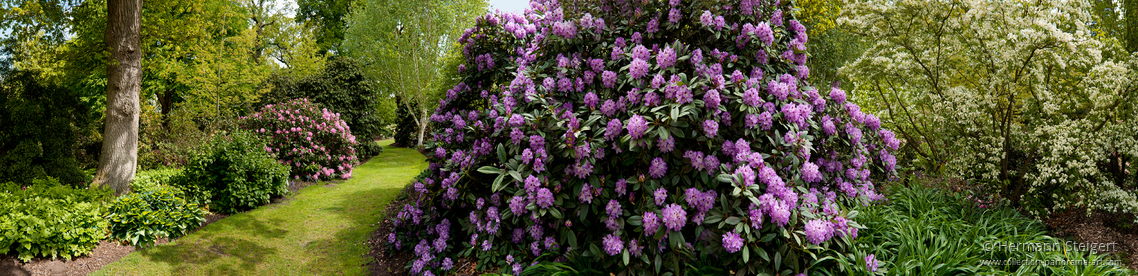 RHS Garden,Wisley 3