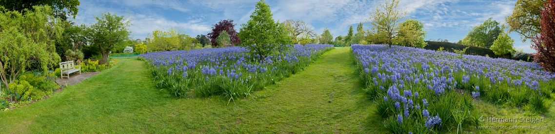 RHS Garden,Wisley 4