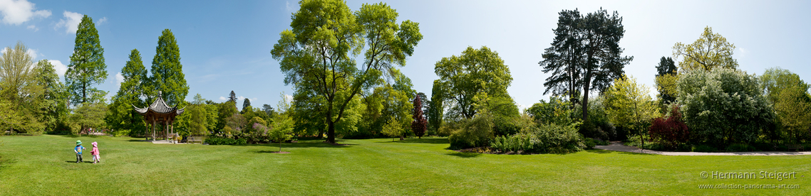 RHS Garden,Wisley 5