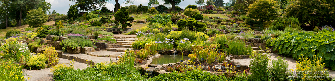 RHS Garden,Wisley 8