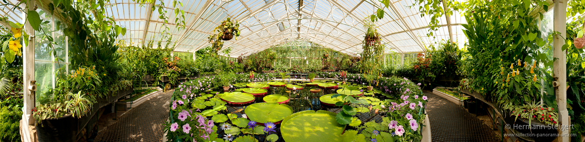 Royal Botanic Gardens Kew 8