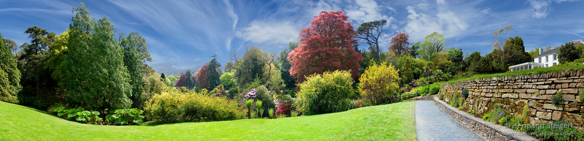 Trebah Garden 4