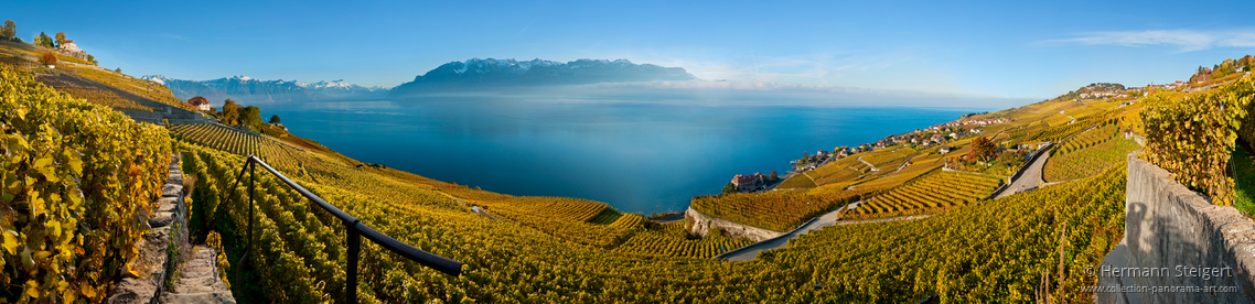 Weinberge am Genfer See
