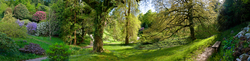 Glendurgan Garden 1
