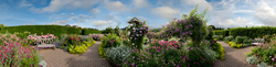 Rosemoor Garden 1