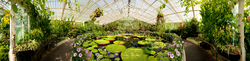 Royal Botanic Gardens Kew 
